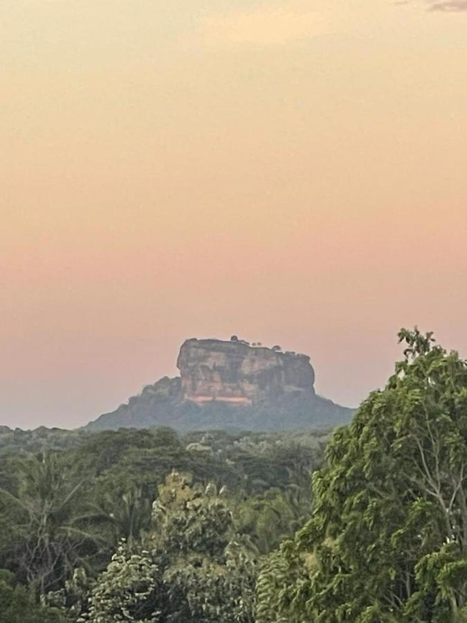 Wild Fortress Hotel Sigiriya Exteriér fotografie
